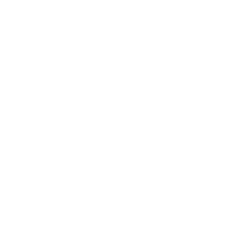 X (Twitter)